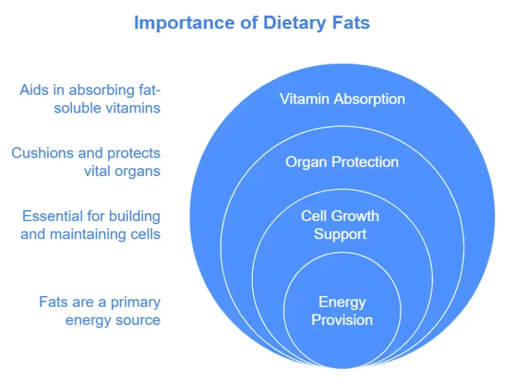 examples of lipids and their vital roles in health
