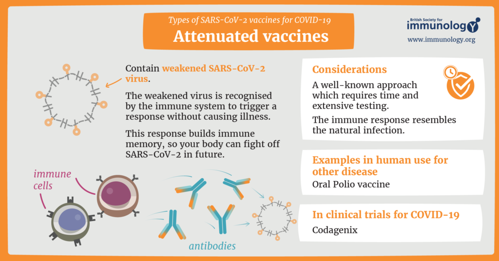 examples of live vaccines for effective immunization