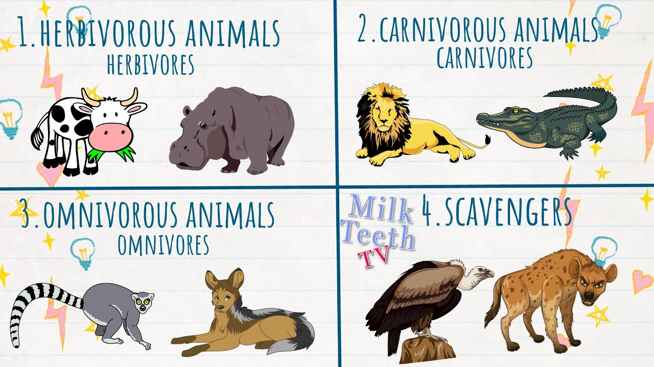 examples of living things that move and eat lions fish