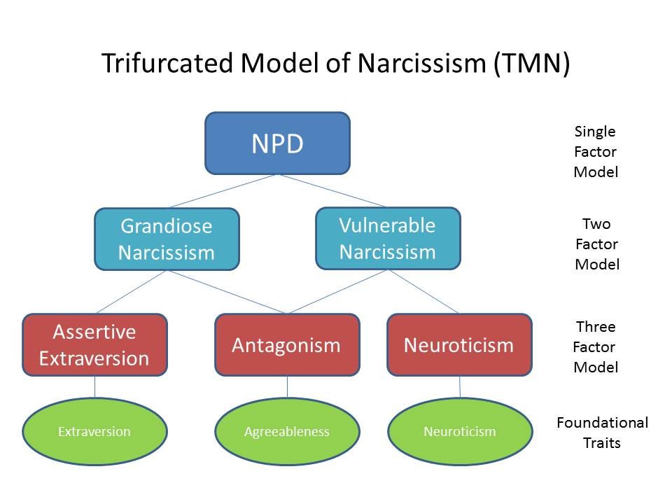 examples of narcissism in society today
