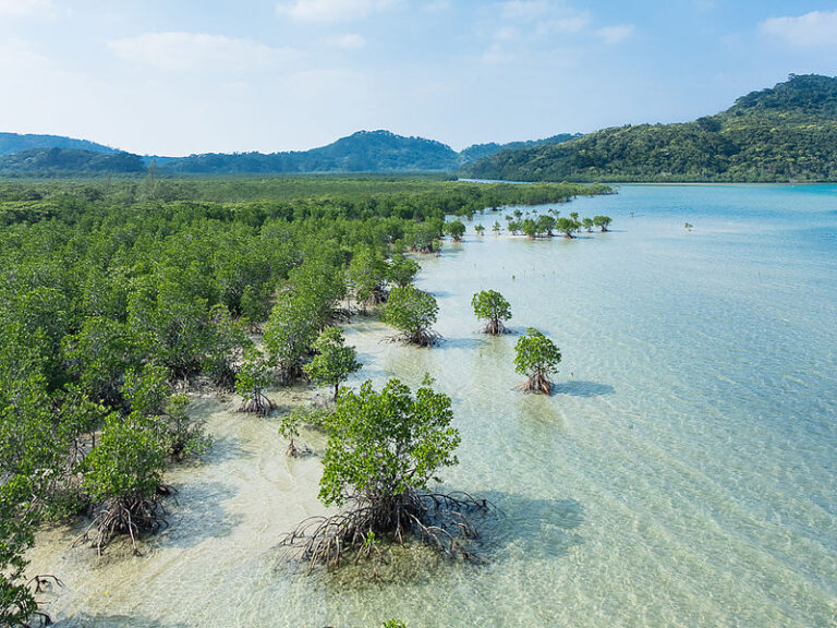 Earth Capital Examples Examples of Natural Capital You Should Know