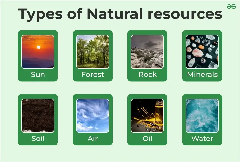 examples of natural resources and their importance