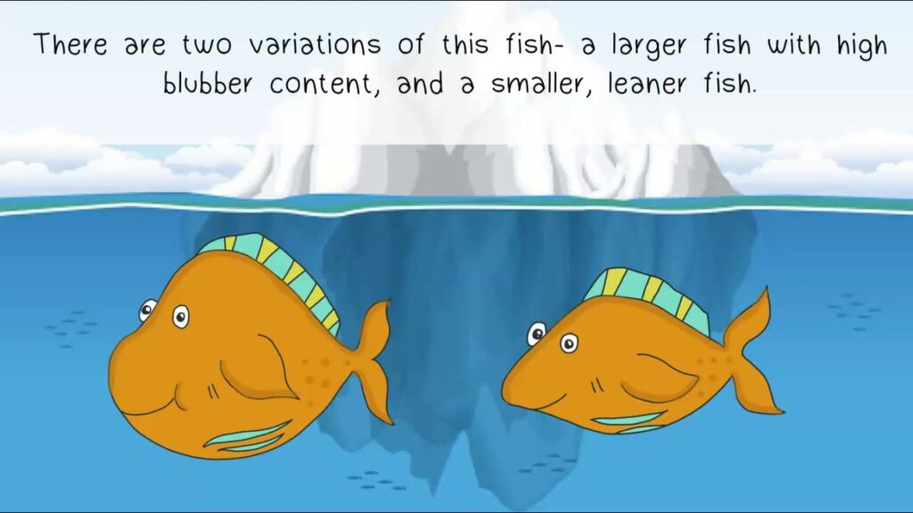 examples of natural selection in fish species
