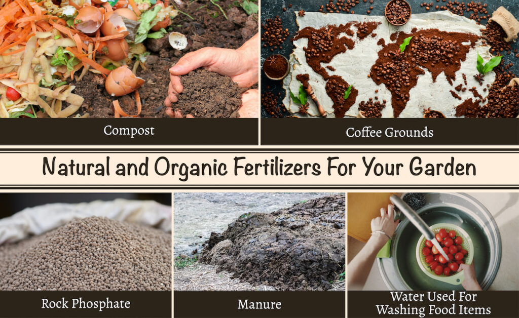 examples of organic fertilizers for your garden