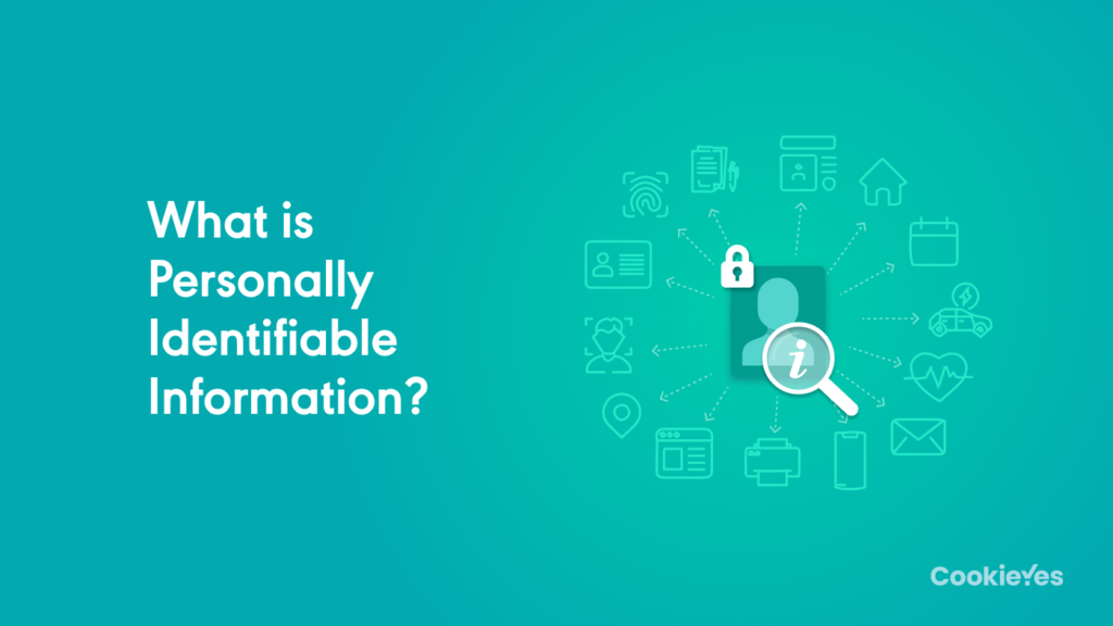 examples of pii dhs key types and their importance