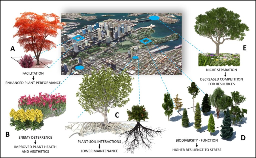 examples of plants and their ecological importance