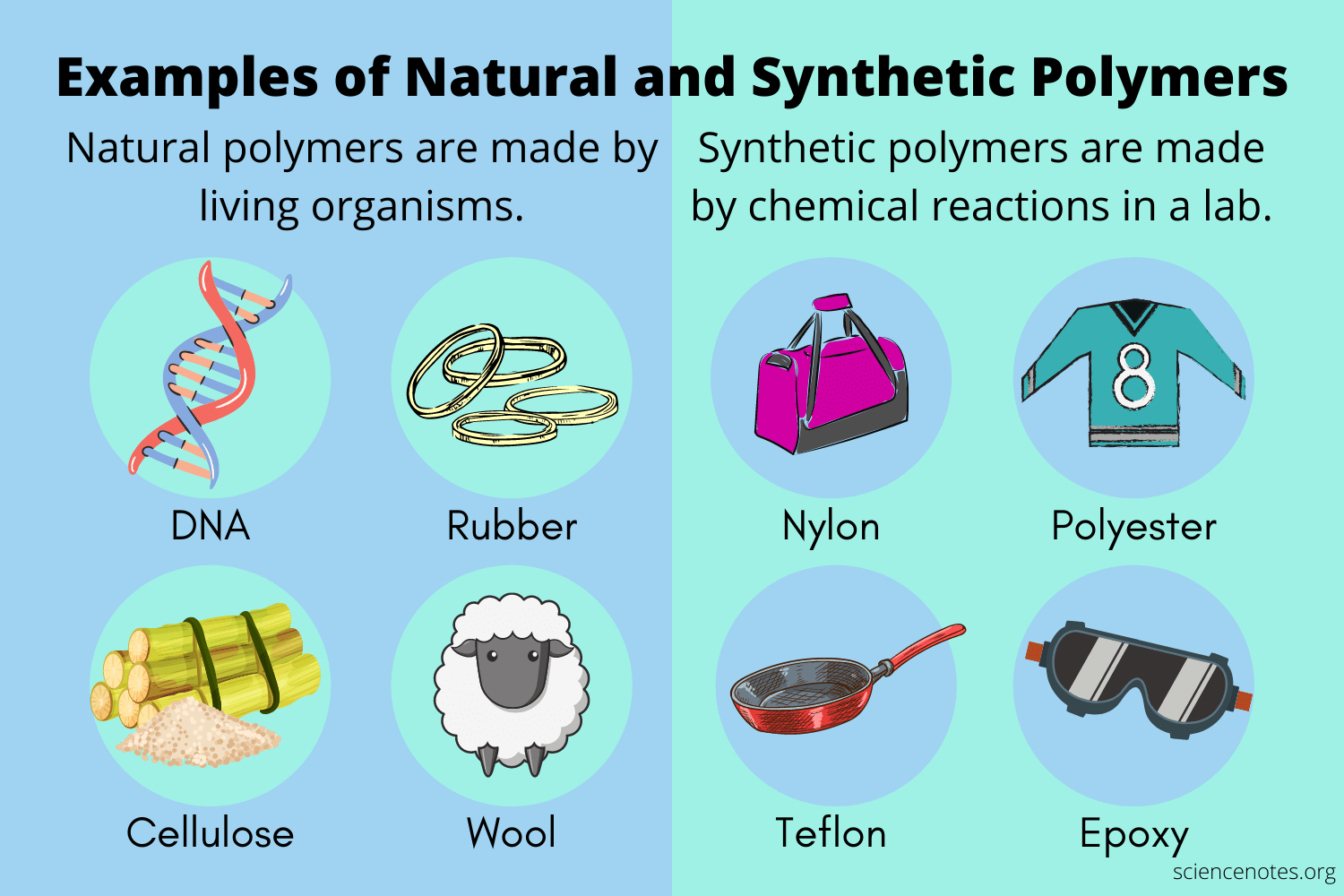 examples of polymers in everyday life