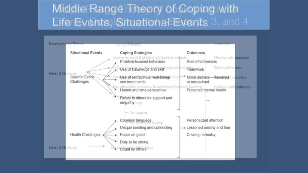 examples of research questions for midrange theory insights