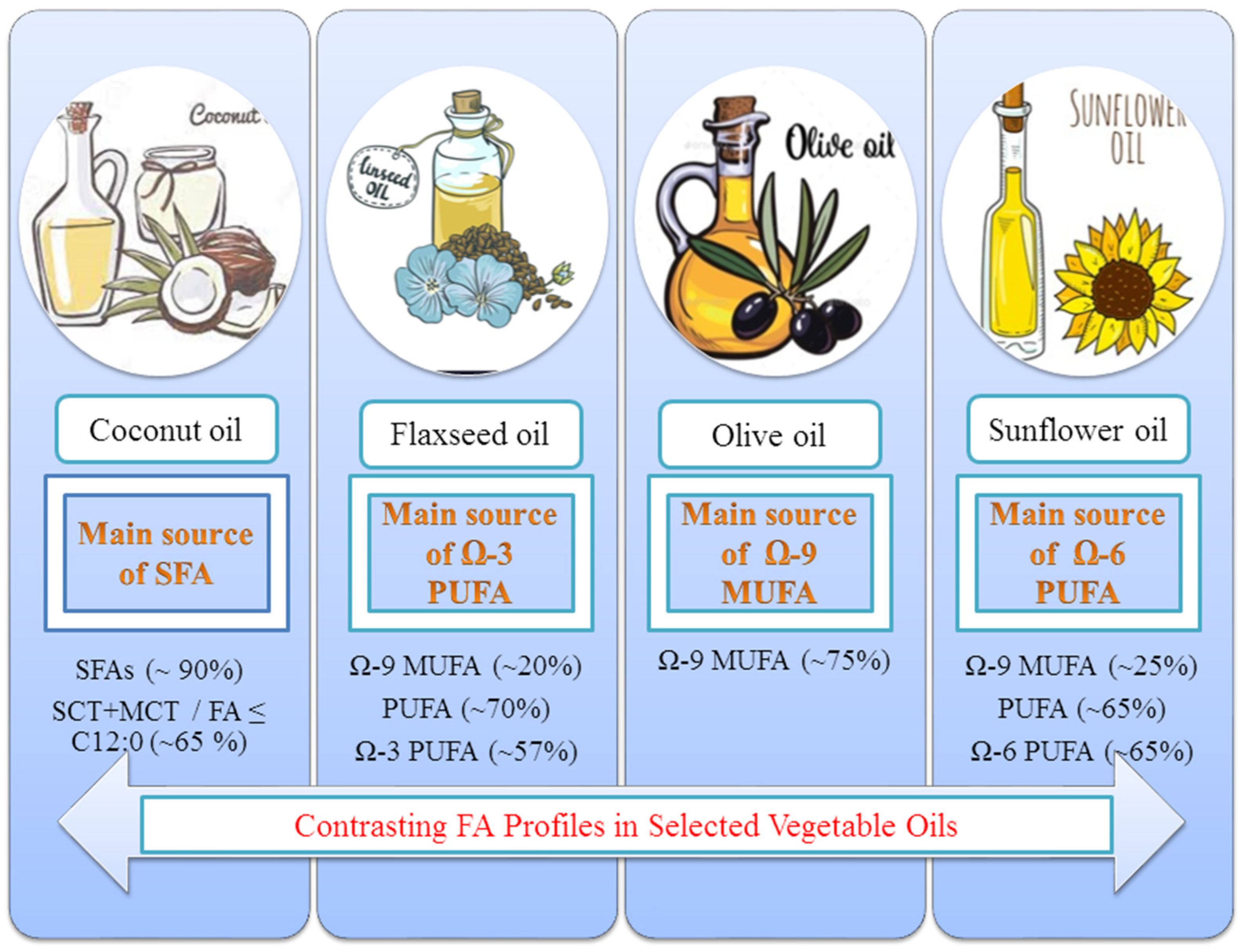 examples of seed oils and their culinary uses