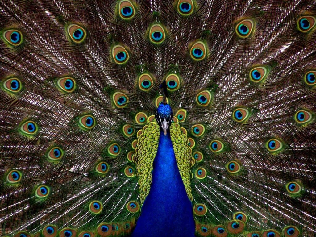 examples of sequence in daily life and nature