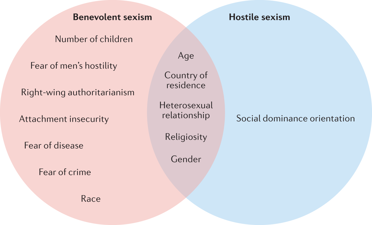 examples of sexism in schools real life cases and impact