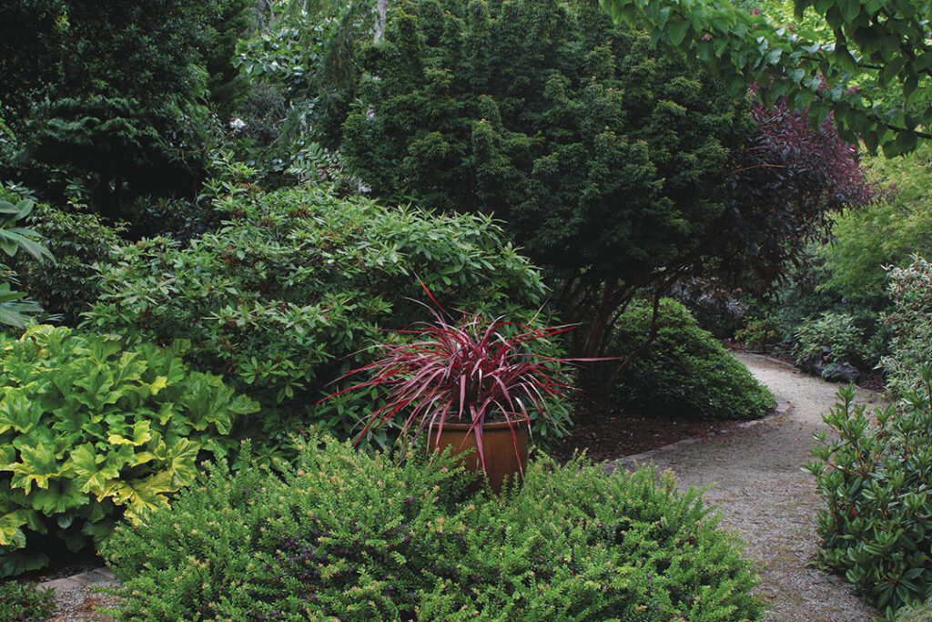 examples of shrubs to enhance your garden landscape