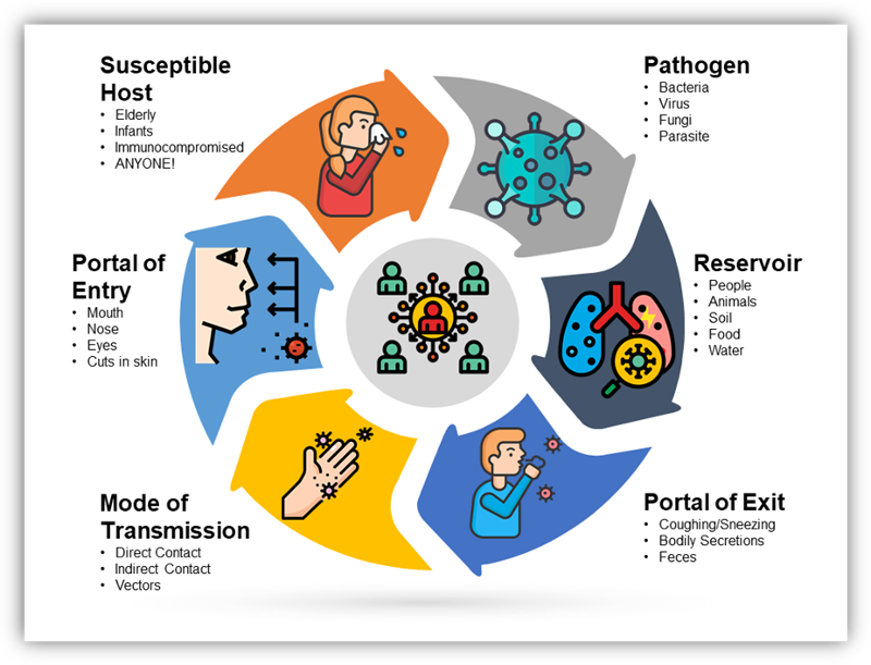 examples of sources that allow pathogens to thrive