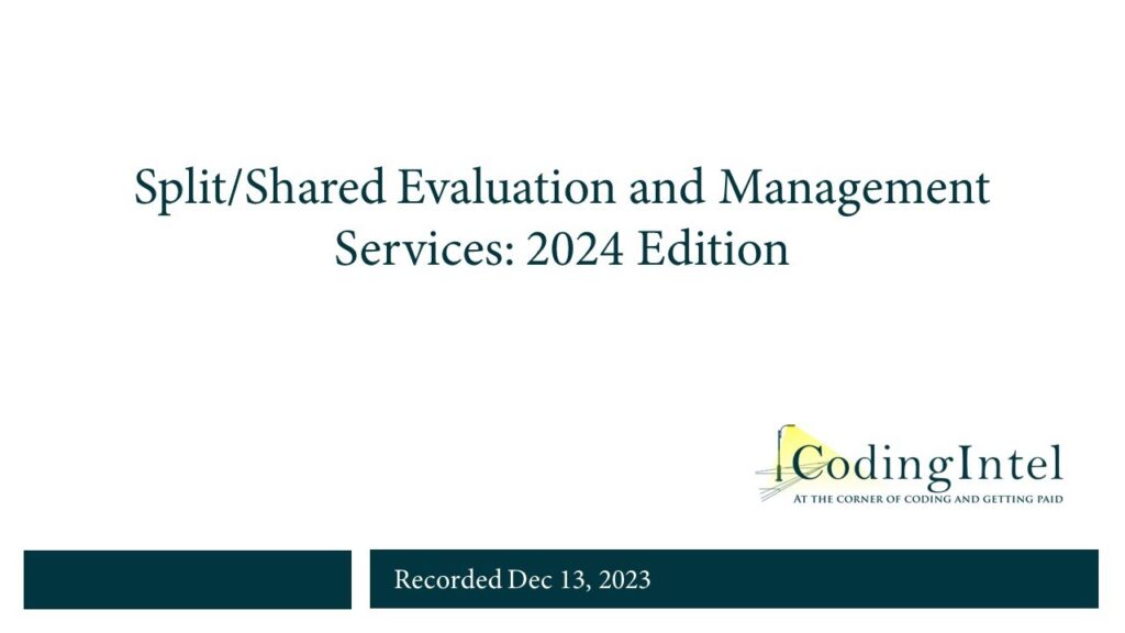examples of split shared documentation 2025 for teams