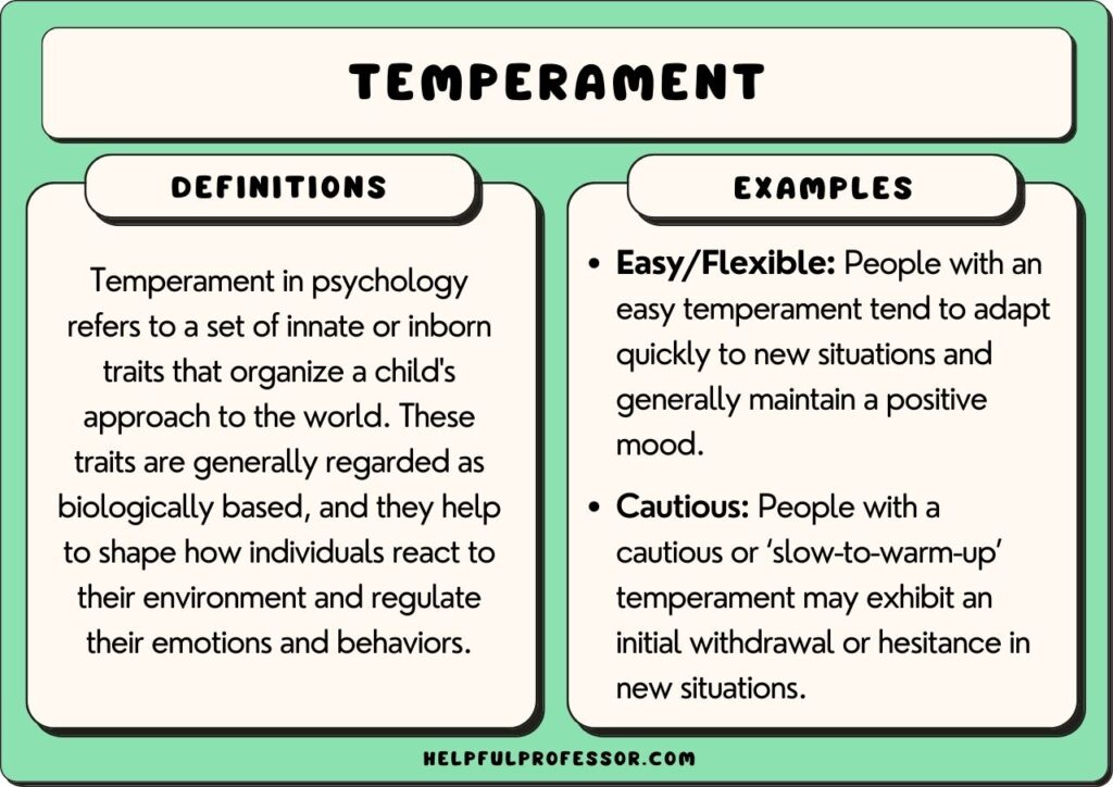 examples of temperament in babies key traits explained