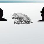 Examples of the Animal Farm Allegory Unpacked examples of the animal farm allegory unpacked