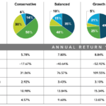 examples of the best investment portfolio strategies for 2025