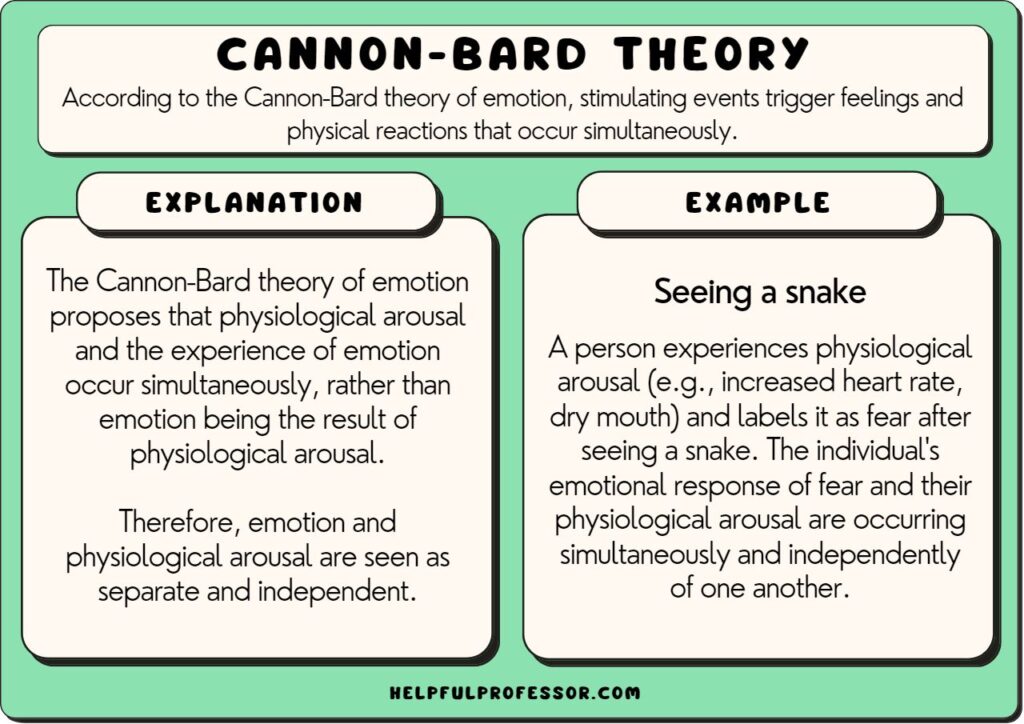 examples of the cannon bard theory in emotions and reactions