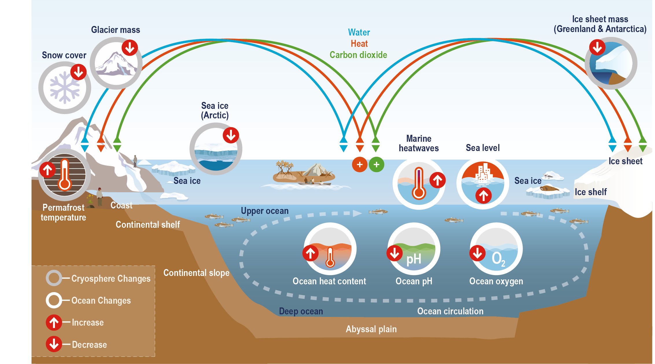 examples of the cryosphere and its climate impact