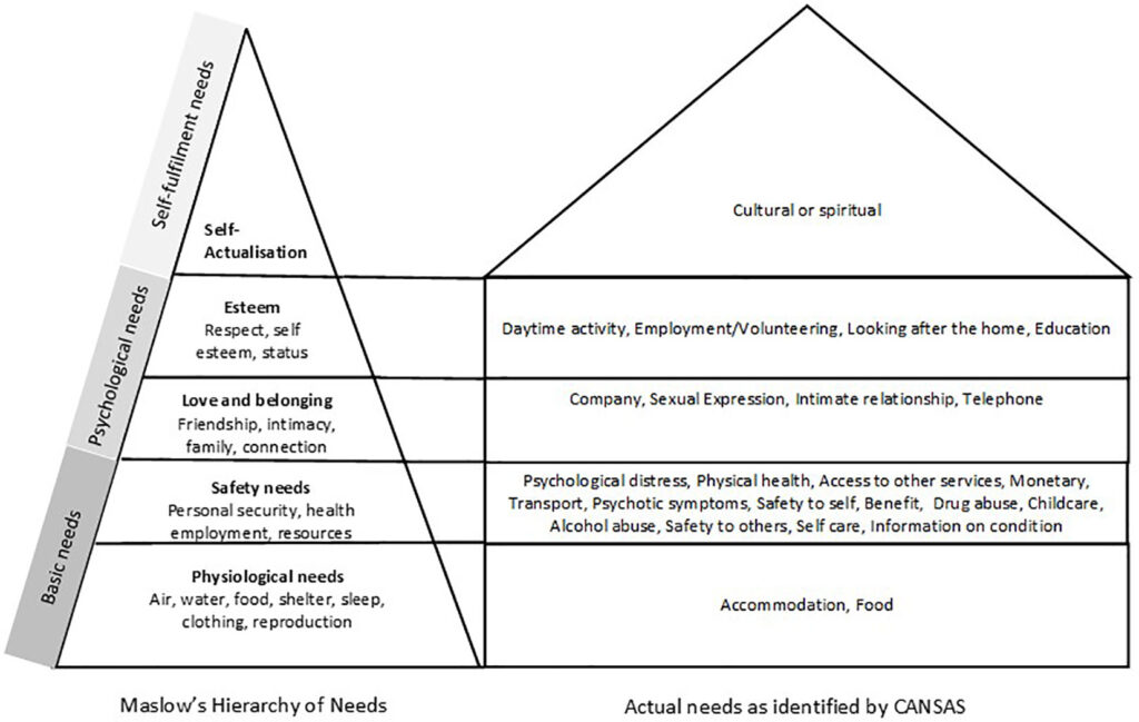 examples of unmet needs in mental health care