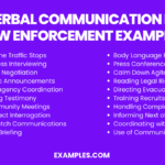Examples of Verbal Communication in Law Enforcement examples of verbal communication in law enforcement