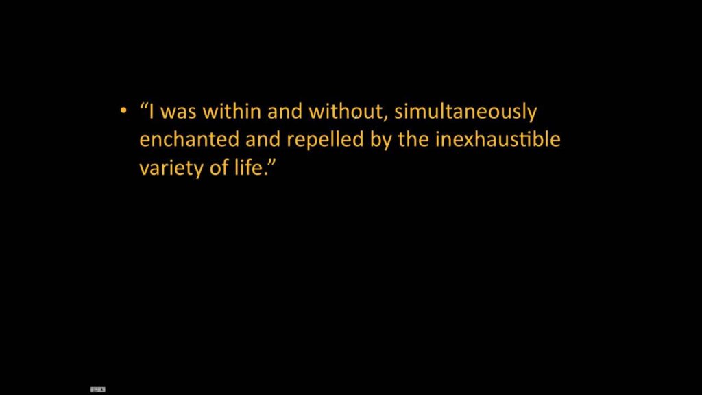 examples of wealth in the great gatsby explained