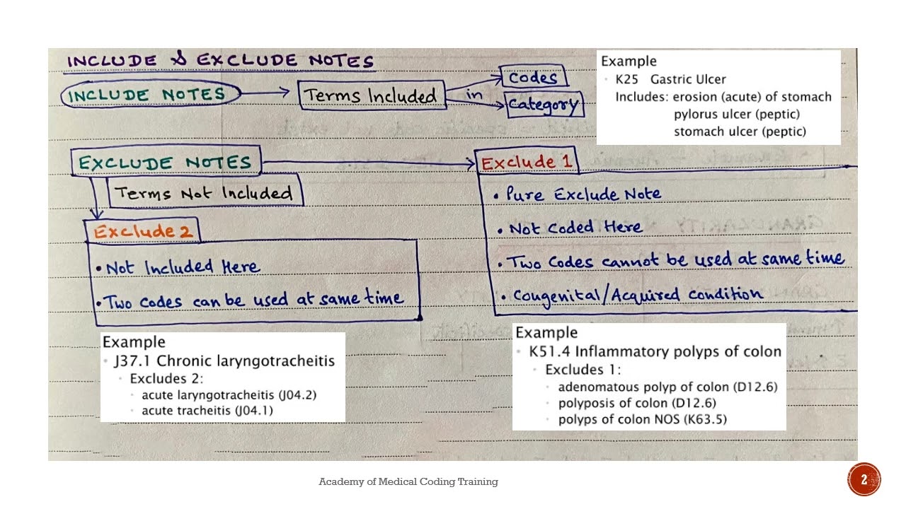 examples of where an excludes1 note can be found except