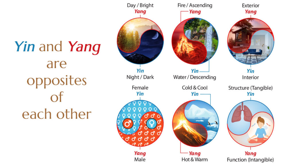 examples of yin and yang in nature balancing forces explained
