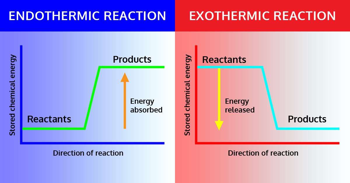 exothermic vs endothermic key examples and differences