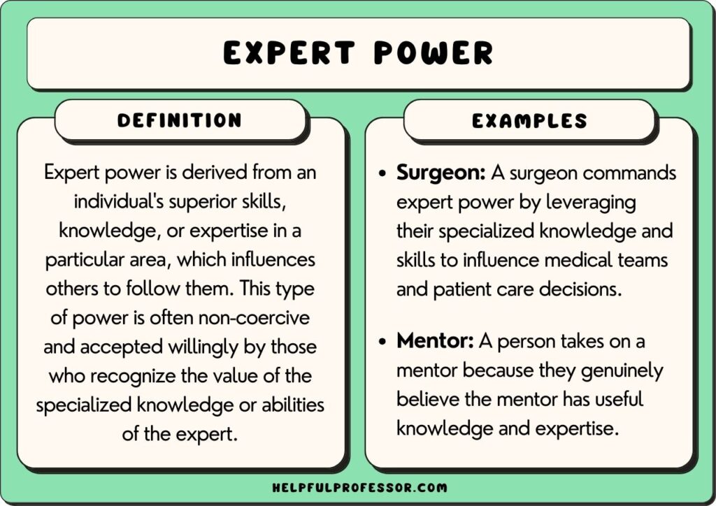 expert opinion examples for better decision making