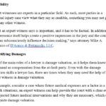 expert witness examples that impact court cases