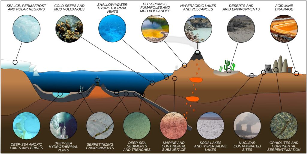 extremophiles examples thriving in extreme conditions