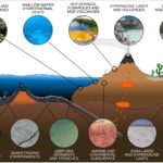 Extremophiles Examples Thriving in Extreme Conditions extremophiles examples thriving in extreme conditions
