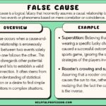 false cause fallacy examples in everyday life