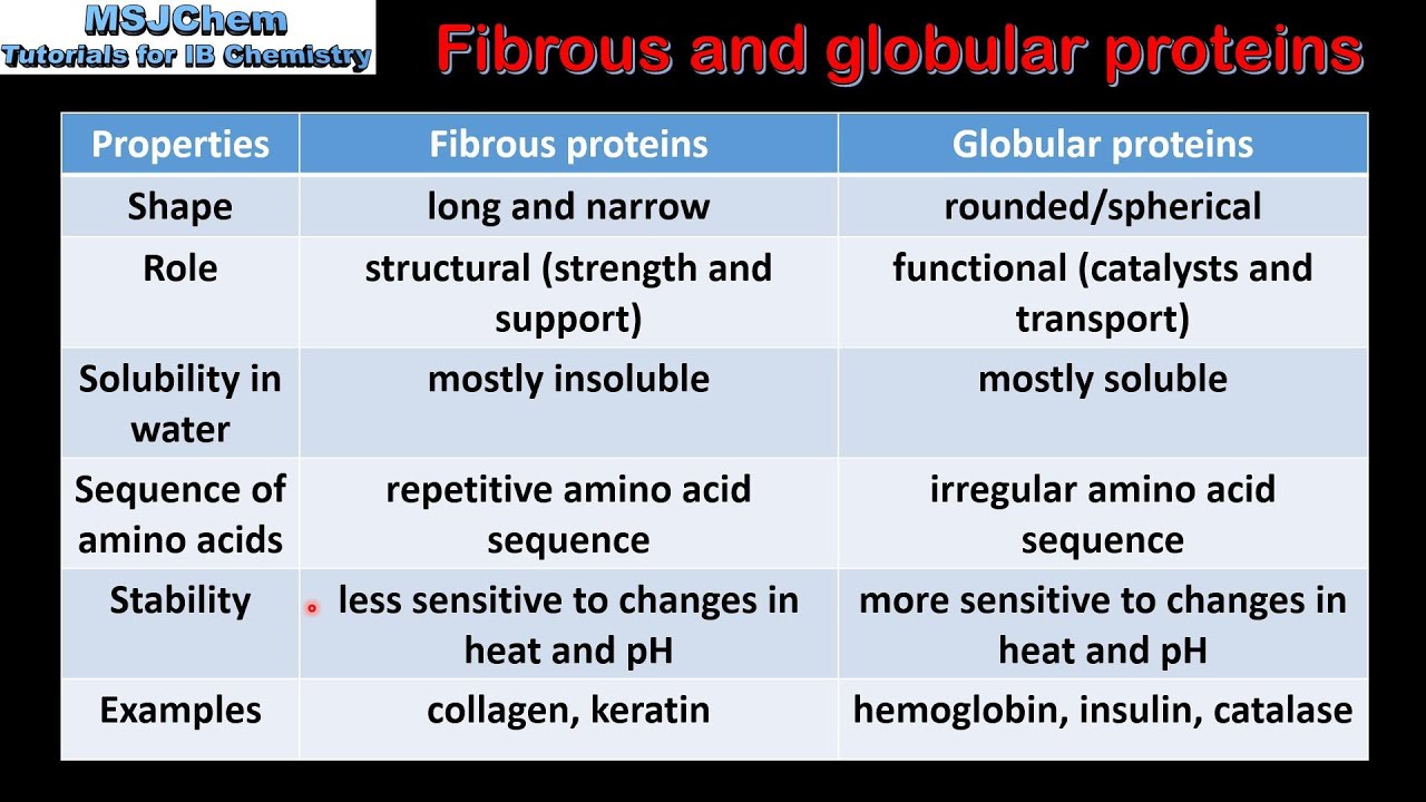 fibrous proteins examples and their key functions