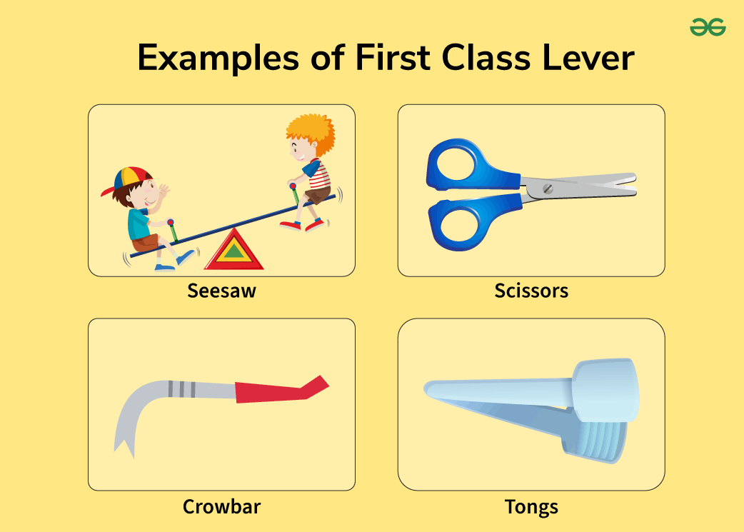 first class lever examples in everyday life