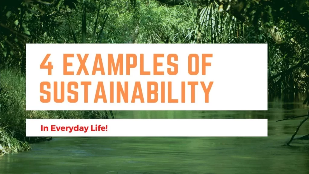 four different examples of a good in everyday life