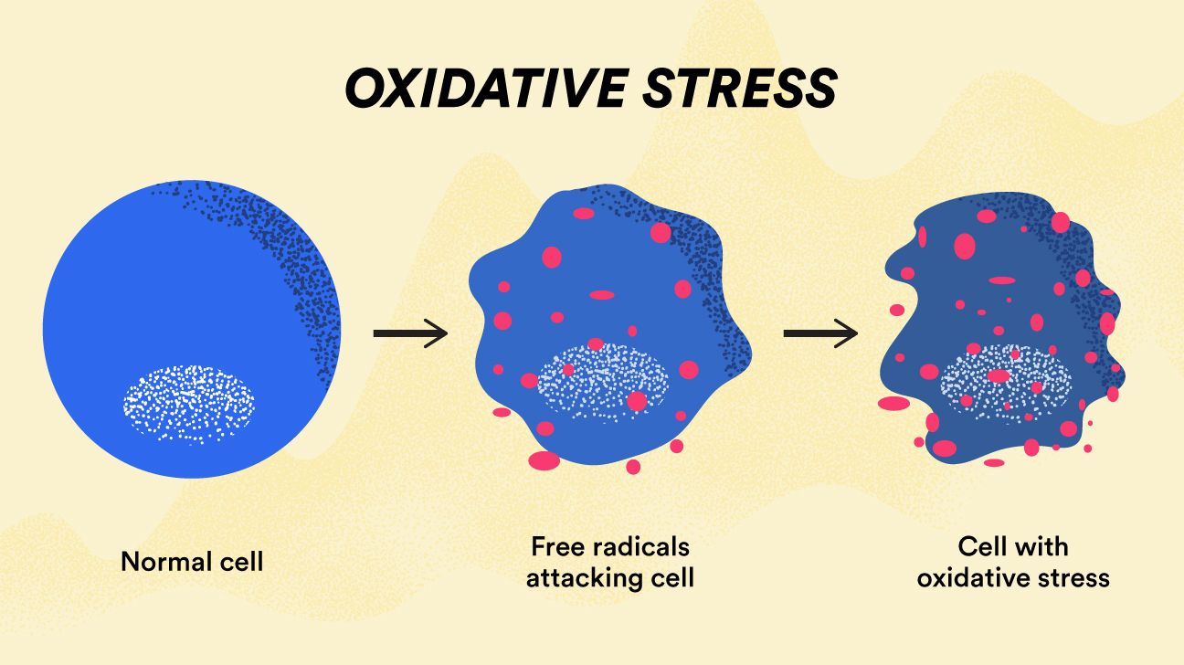 free radicals examples and effects on health