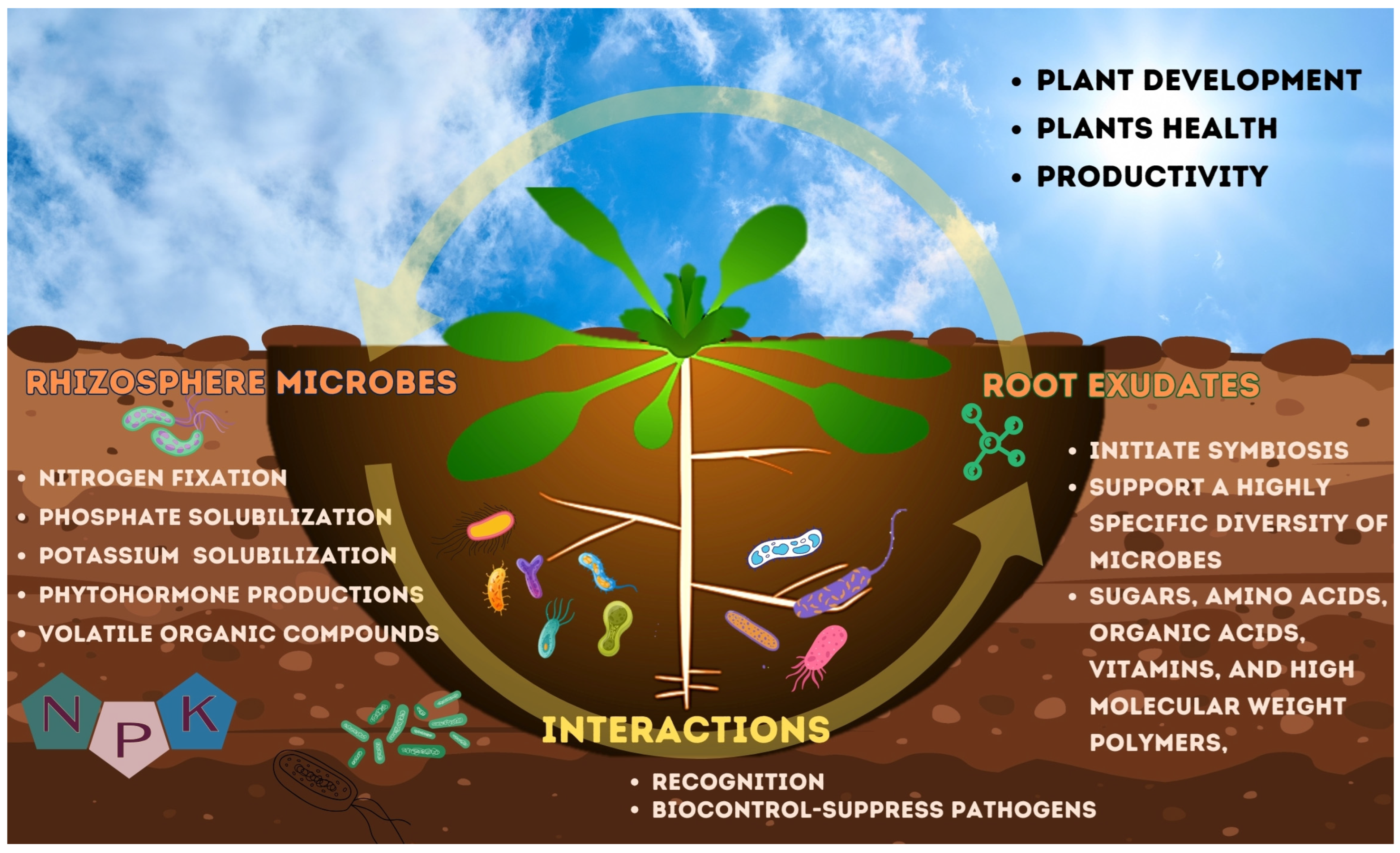 fungi and bacteria are examples of ecosystem vitality