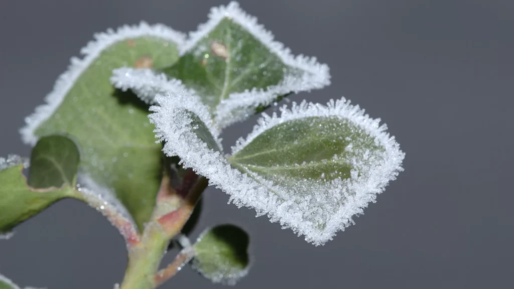 gas to solid examples in nature and industry