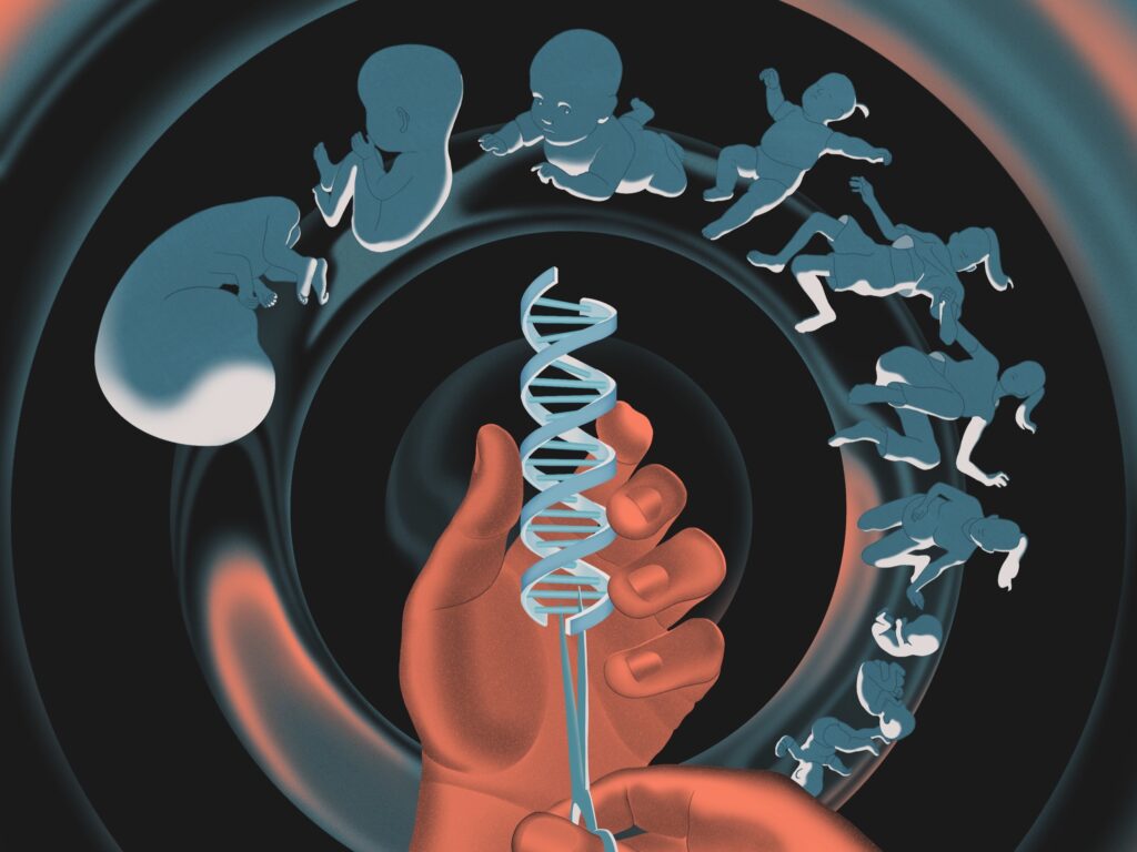 genetic engineering examples transforming our world