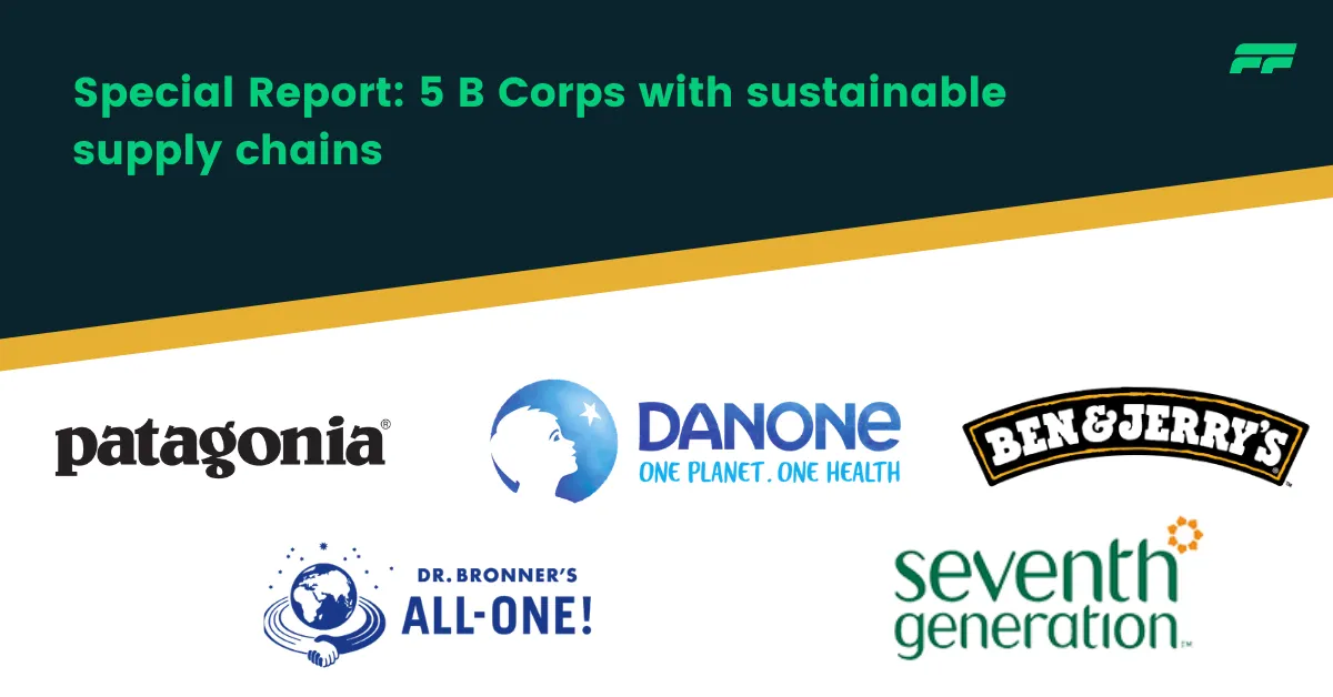 give two examples of b corps patagonia and ben jerrys