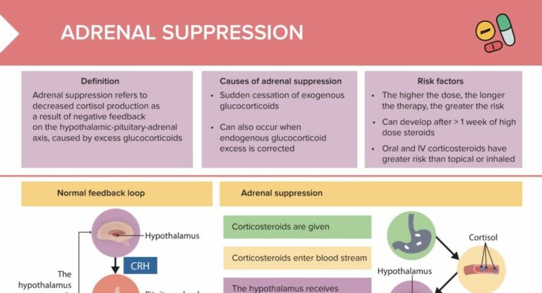 Glucocorticoids Examples and Their Uses Explained