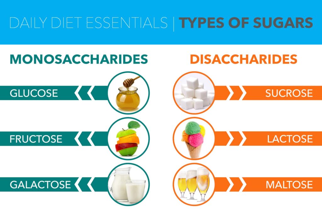 glucose fructose and galactose are examples of essential sugars