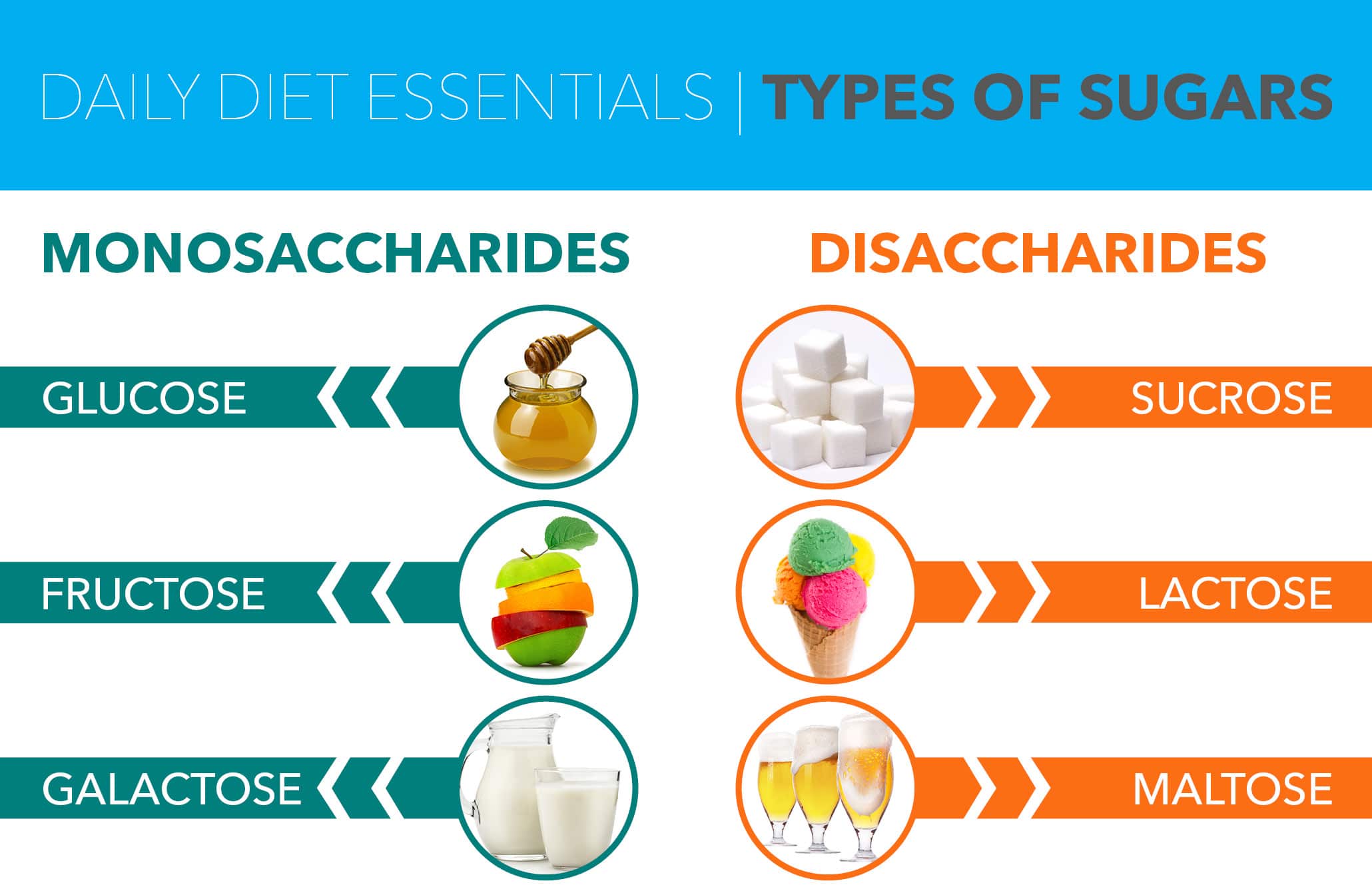 glucose fructose and galactose are examples of essential sugars