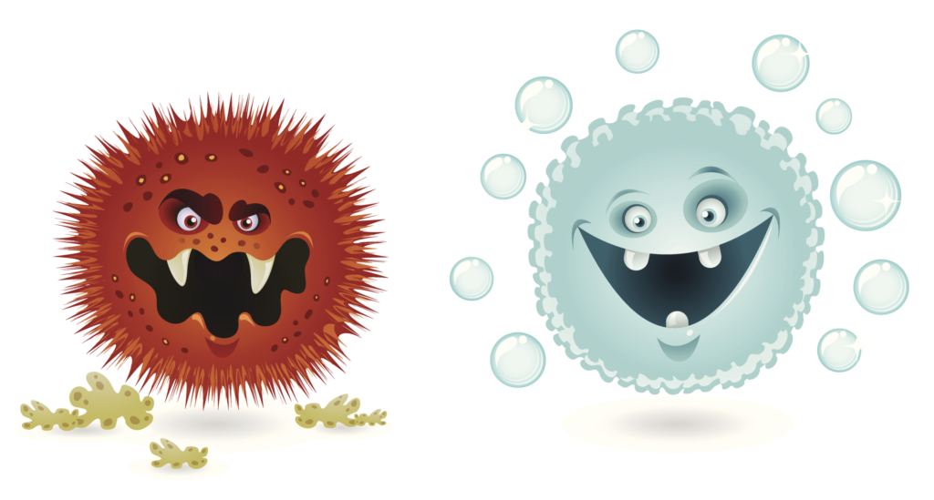 good bacteria vs bad bacteria key examples and facts
