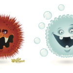 good bacteria vs bad bacteria key examples and facts