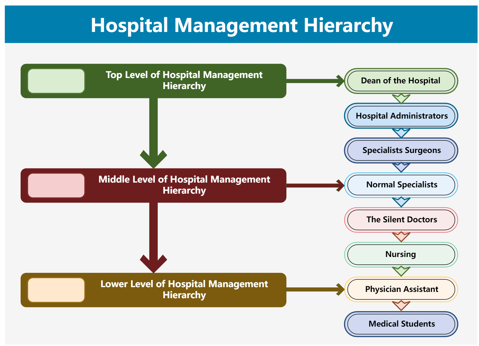 healthcare organizations examples you should know about