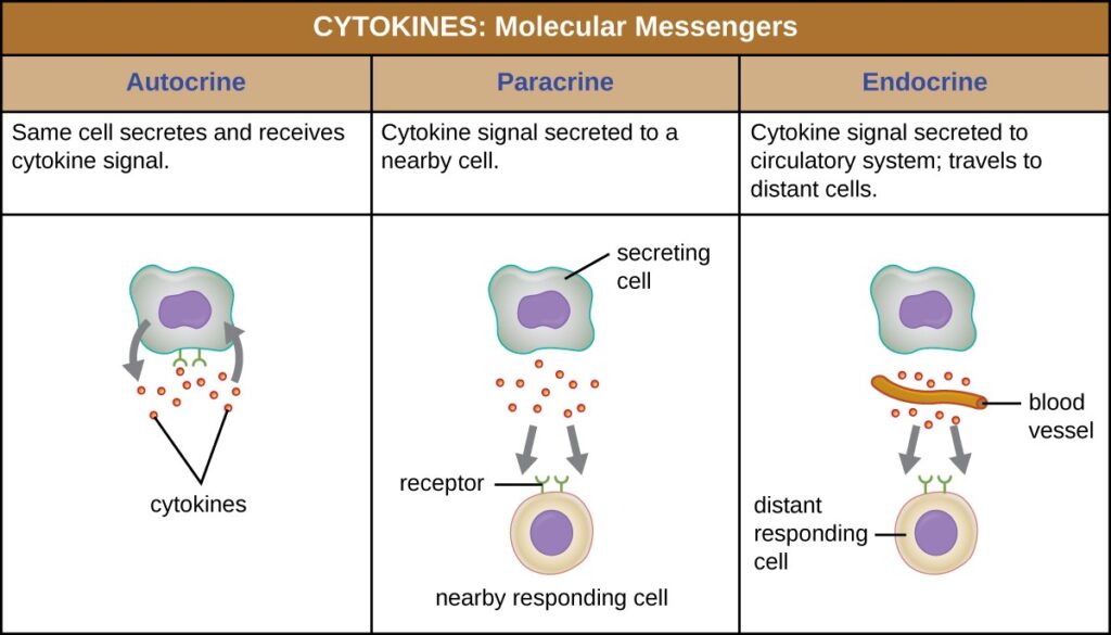 histamine kinins eicosanoids and complement proteins