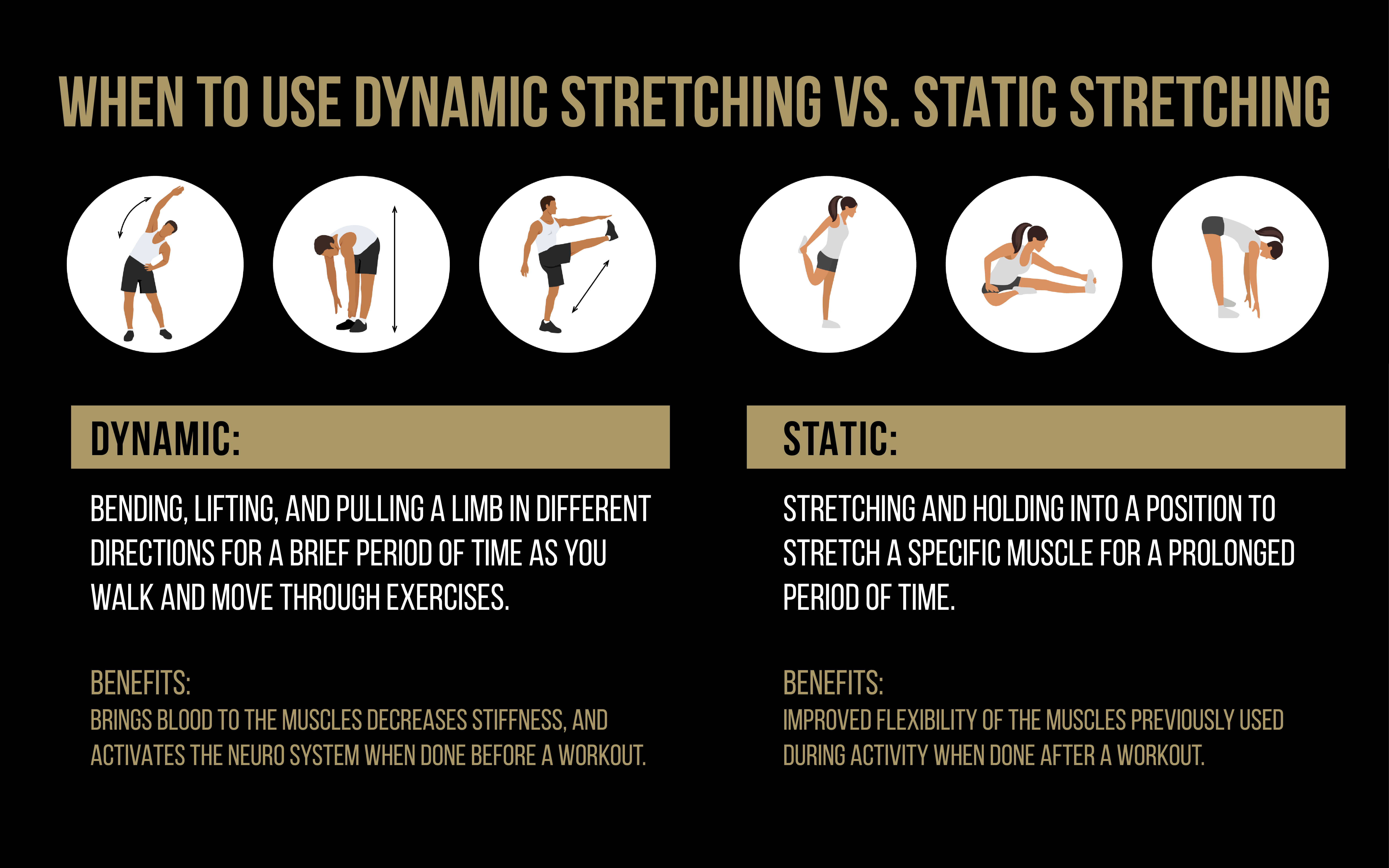 how dynamic stretching prepares you for physical activity